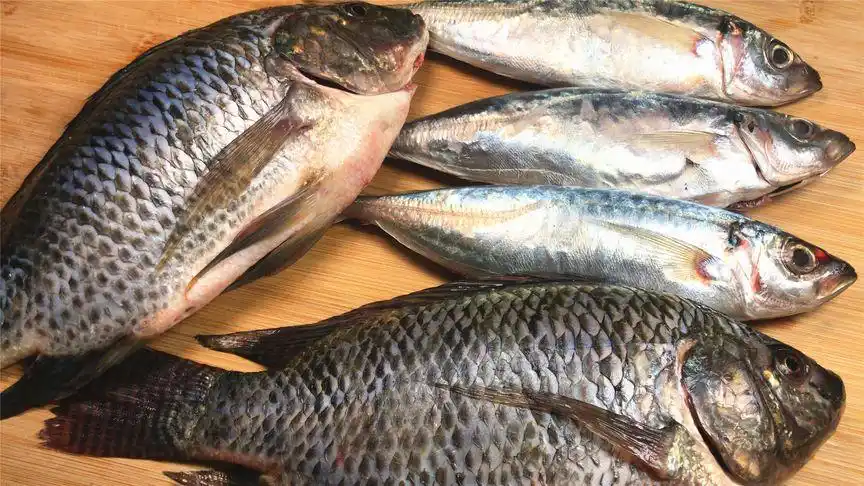 去菜市场买鱼时,这4种鱼别买,一种都不行,多亏卖鱼老板提醒