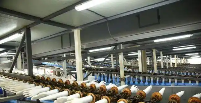 茂泰商贸公司把小手套做成了大事业|乳胶|丁腈|防护服_网易订阅