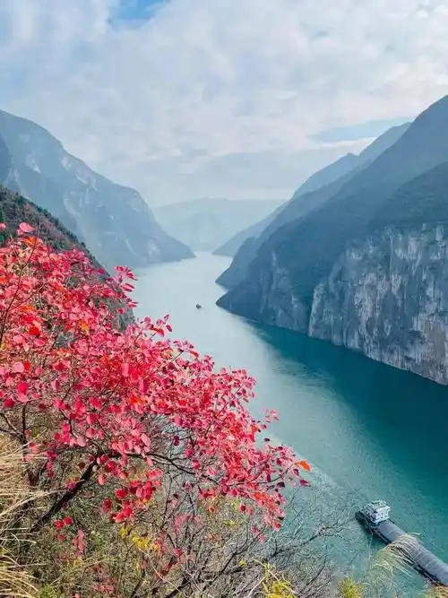 (已成行)长江三峡6日经典徒步:2021年11月06日-11日,穿越最美长江三峡