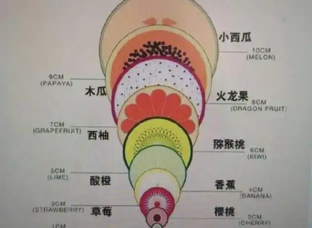 顺产开十指到底开多大?一组"水果图"形象告诉你,当妈太辛苦了