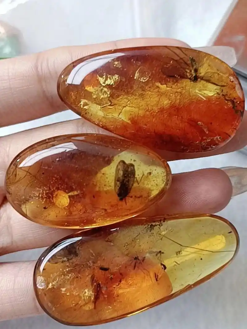 虫珀真假辨别 虫珀鉴别方法 1,内含物的变化 内含物经过千万年的时间