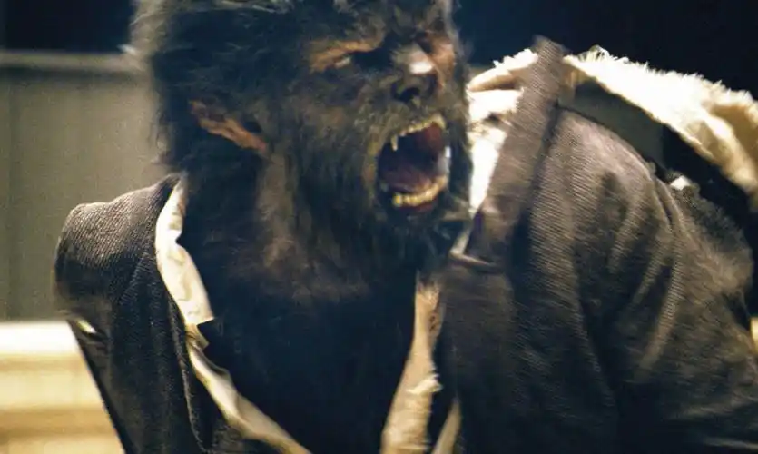 史上"最凶残"3大食人猛兽:第1个致死1500多人,最后1个神秘恐怖