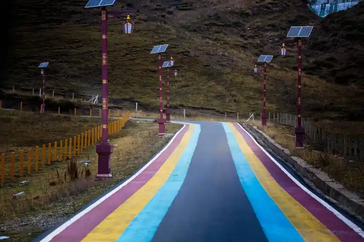 进入万仓湿地公园的彩虹路.