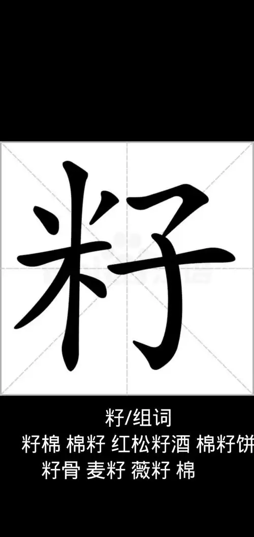 籽字组词,你会组几个