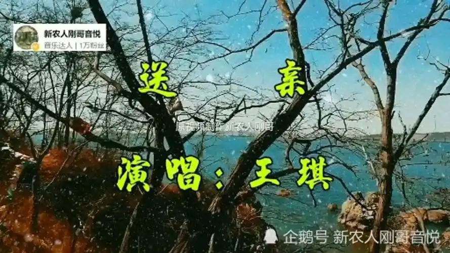 王琪一首送亲唱哭了多少痴情人原本迎亲却变成送亲人悲情耐人寻味