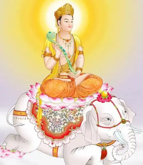 四大菩萨各个坐骑神通很大