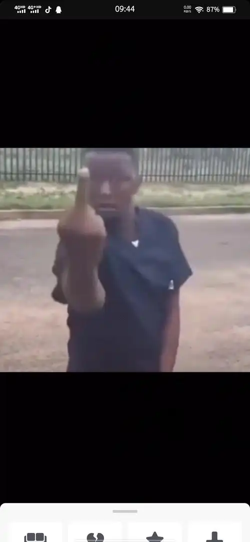 就是一个黑人男人跑的挺慌 竖了个中指 又跑了 球球了球球了