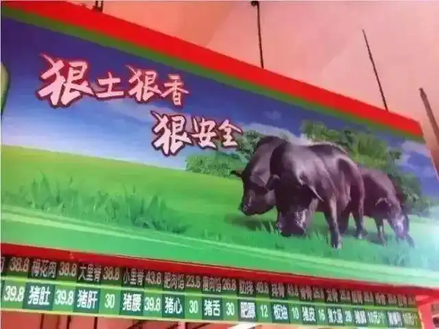 那个北大毕业去卖猪肉的已经50岁了他现在在干嘛呢