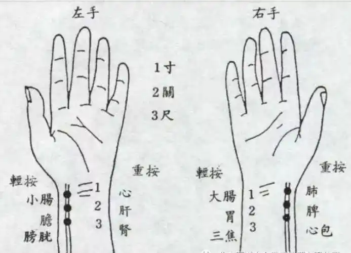 如何把脉28种脉完全图解