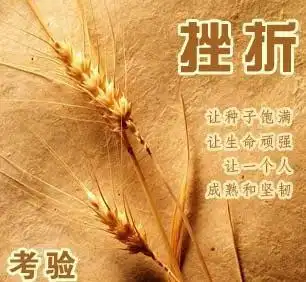 面对挫折的名言警句面对失败的名言警句