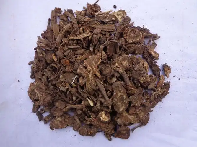 羌活 统片 产地 四川省阿坝藏族羌族自治州