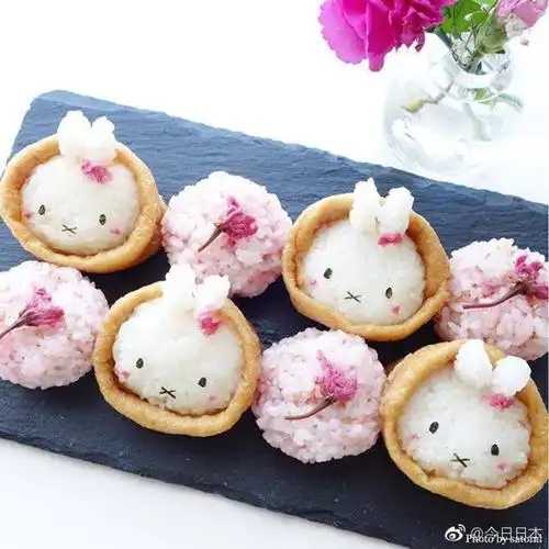 各种可爱造型的饭团,这位日本网友的手也太巧了吧!(ins:satomi_0819)
