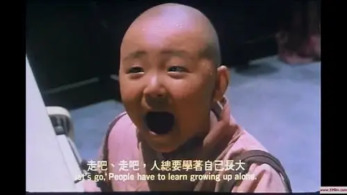 [香港][1995][无敌反斗星/新乌龙院2][郝劭文/释小龙/吴孟达][国粤