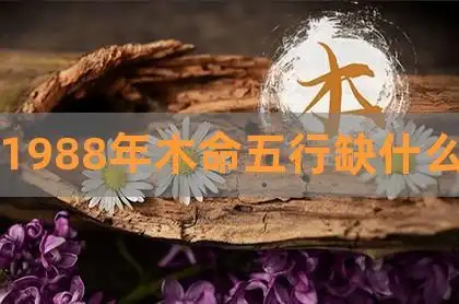 1988年木命五行缺什么,男孩子五行属水吉利字