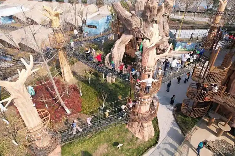 龙腾虎跃闹新春,30万人玩转襄阳华侨城奇幻度假区_游客_云海_夜空