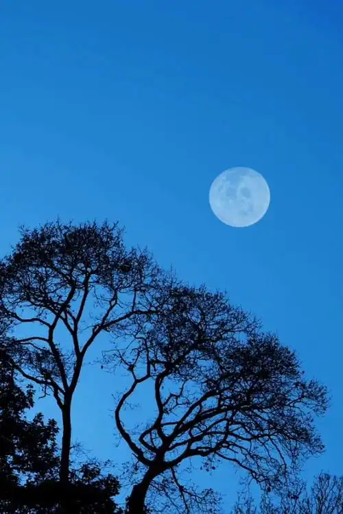 惟有清风与明月晚安_新浪看点