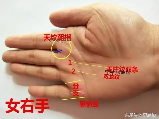 手相:双龙纹在手,钱财无忧,福禄长存!