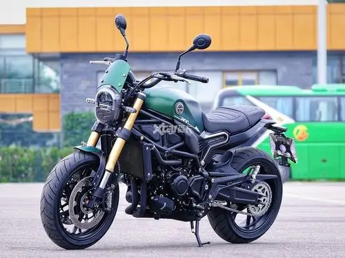 贝纳利幼狮800正式上市 售价5.58万元起