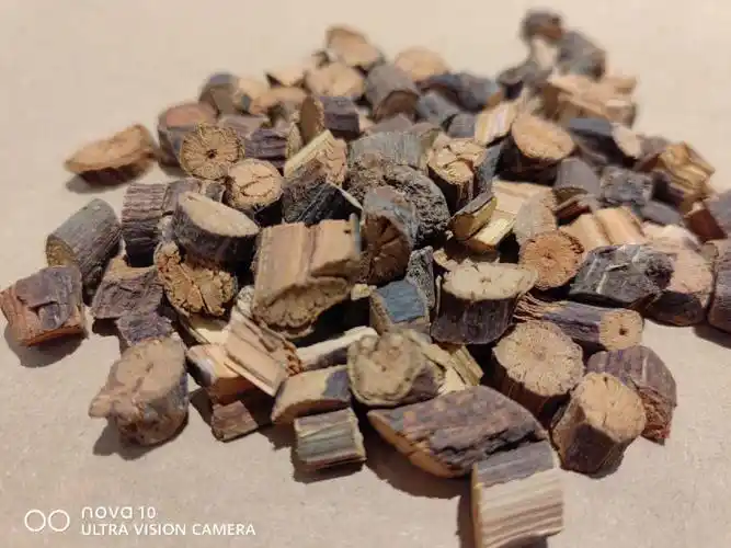 每日了解一味中药首乌藤安神药