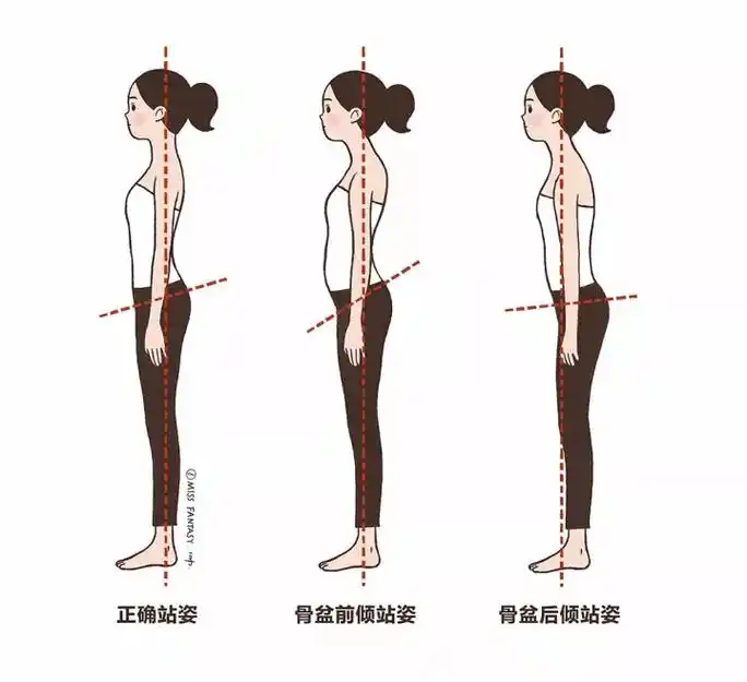 改善体态的最简单办法只要5分钟就能做到