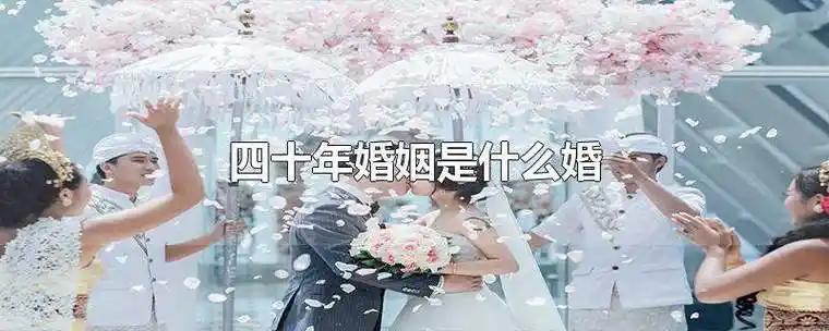 四十年婚姻是什么婚祝福语