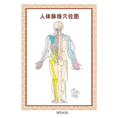中医文化宣传画中医养生挂图示意图人体脉络穴位位图其它印刷制品