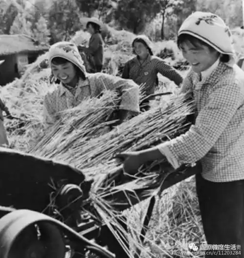 盐池607080后农村老照片看哭了