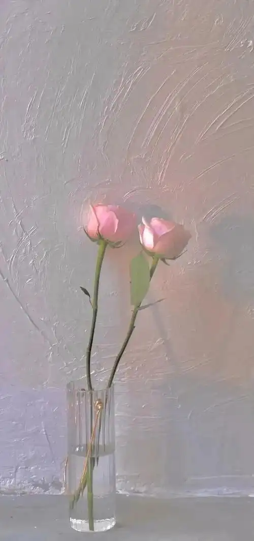 高清高冷冷淡风壁纸锁屏背景图