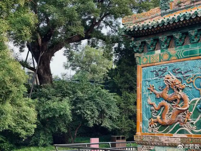 北海公园之九龙壁