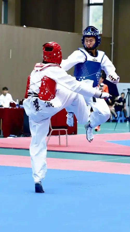 跆拳道比赛圆满结束