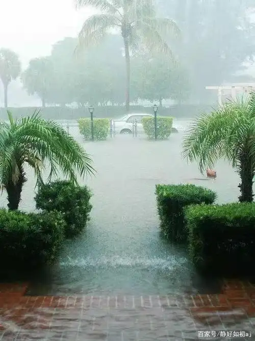 夏天的雨里不全是美好的记忆
