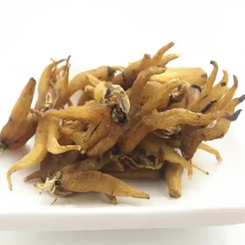 手掌西藏干货佛手精选养生滋补煲汤250克168元佛手