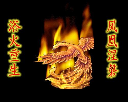 凤凰涅盘追梦想(连载二)