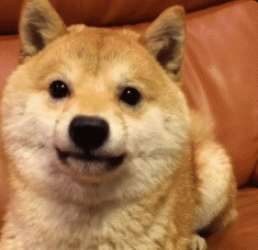 和爸妈聊天千万别发表情包!你压根猜不到他们会理解成什么