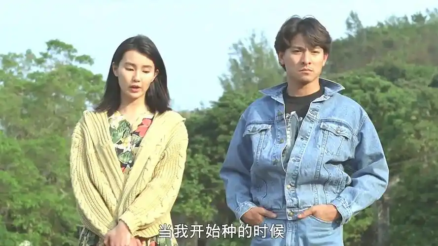 刘德华搭档张曼玉的电影,你还活在自己的神话里吗(哗!英雄)影评