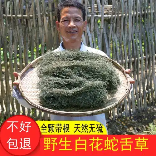 野生白花蛇舌草500g农家新鲜晒干全颗带根蛇舌草羊须草可配半枝莲