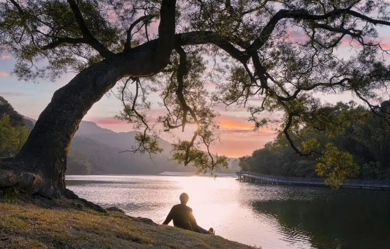 美景能治愈一切.内心丰盈者,独行也如众 不畏山高路远,山川回 - 抖音