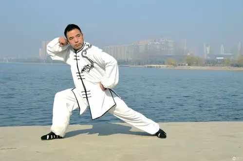 陈氏洪拳大师武运鹏武术表演二-人物人像-光影中国网-36.01ny.cn - po