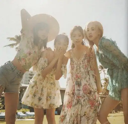 求blackpink团体照