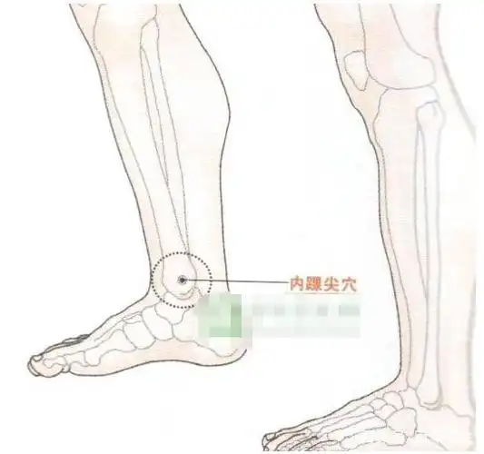 内踝尖穴的位置在内踝的最高点处.