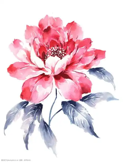 中国风彩绘牡丹花朵图案