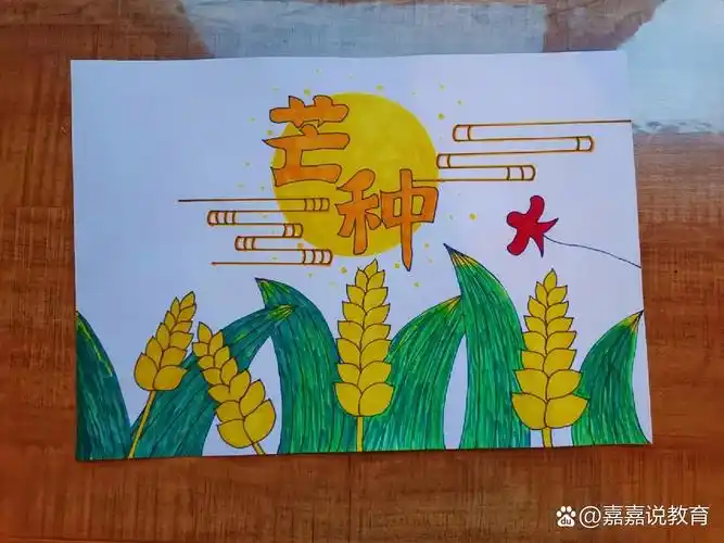 芒种手抄报,二十四节气手抄报