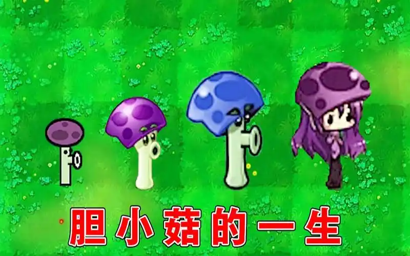植物大战僵尸胆小菇的成长史
