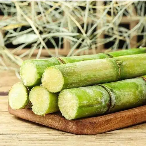 被层层外表包裹住,包裹住的不仅有甘蔗的表皮,还有甘甜的汁水