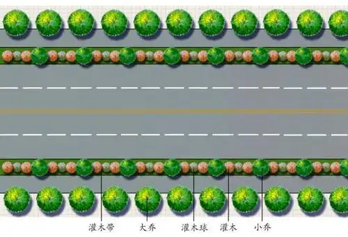 上海,南京,杭州,武汉,合肥,长沙等城市次干道路植物配置模式