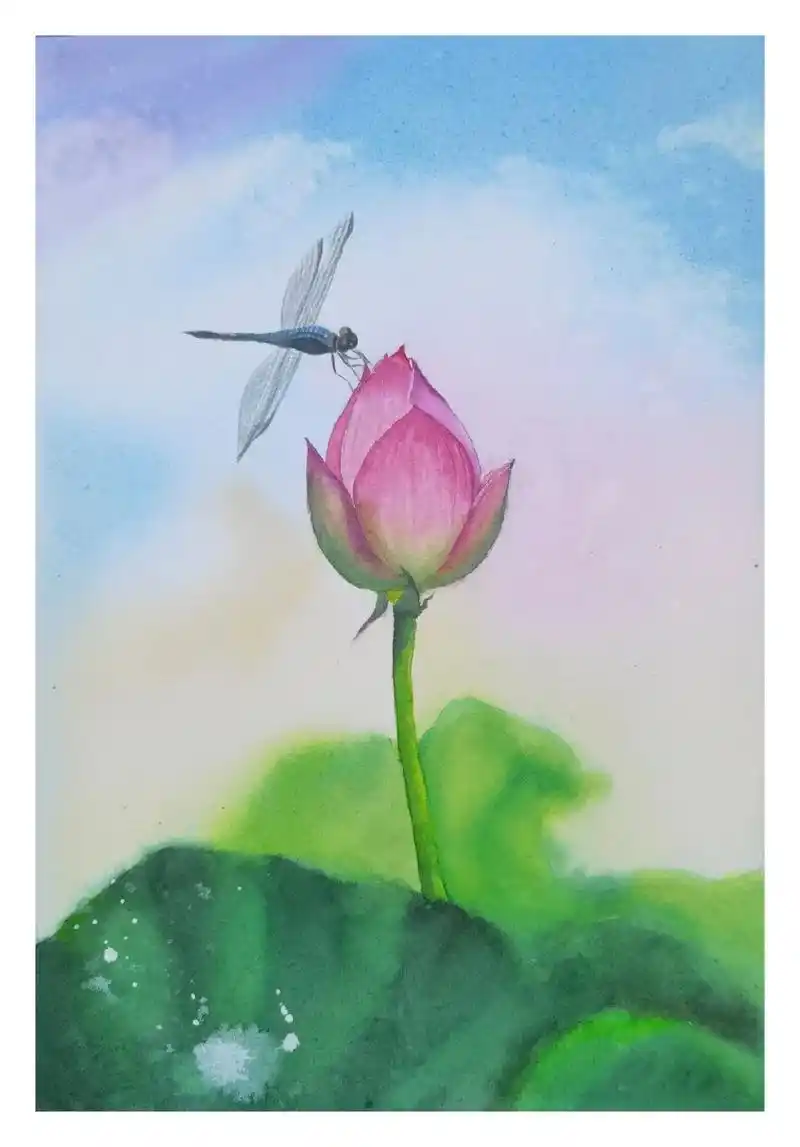 小荷才露尖尖角,早有蜻蜓立上头.水彩手绘#手绘 #水彩 #水 - 抖音