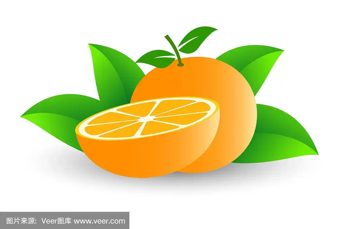 扁平化设计,矢量,橙子,商务,清新
