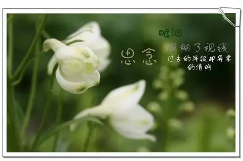 表示安慰亲人去世的句子