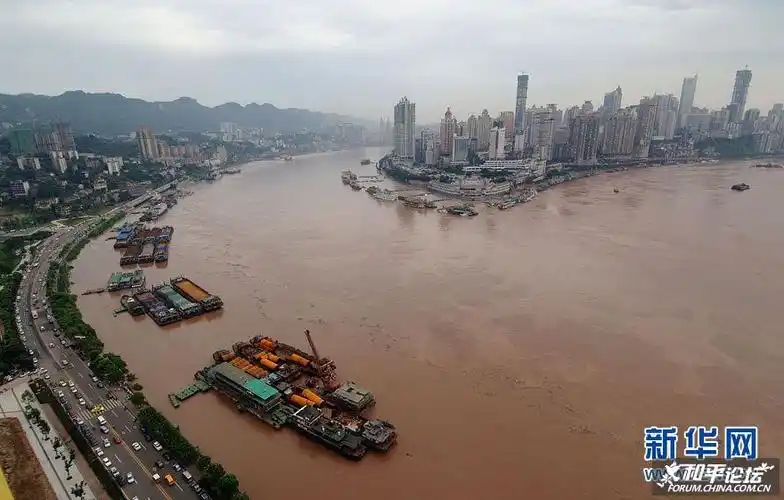 1954年长江洪水的抗洪斗争