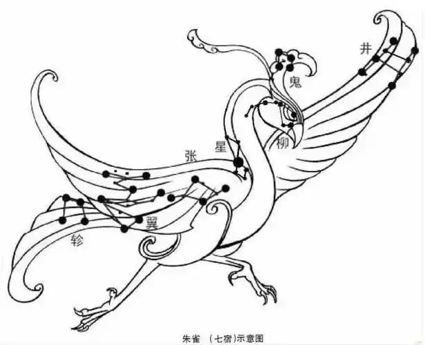 所以我们道教用楚的朱雀顶替了朱雀简笔画四大神兽朱雀简笔画简笔画